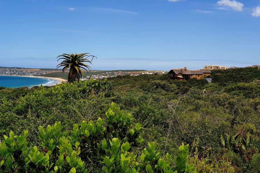 0 Bedroom Property for Sale in Springerbaai Eco Estate Western Cape